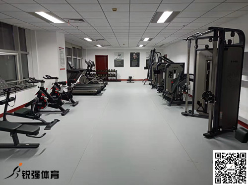 济南某集团采购的熊猫体育官网体育提供的健身器材