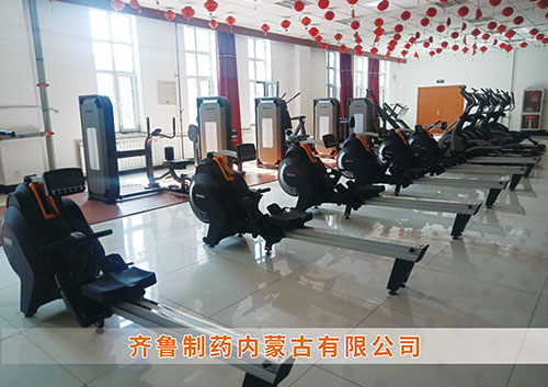 熊猫体育官网体育为​齐鲁制药内蒙古分公司打造健身房