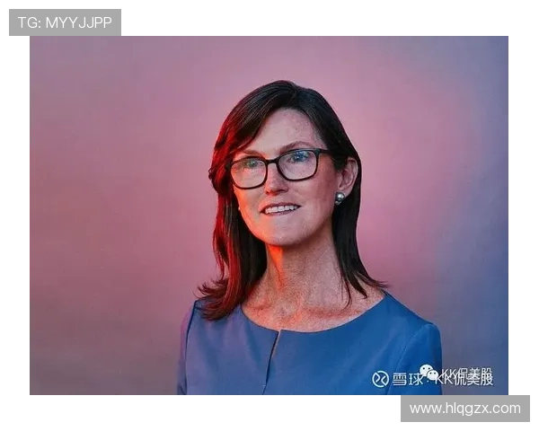 夸尔塔成长空间：新兴市场的创新驱动机遇与挑战分析