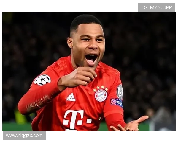 格纳布里战术适应